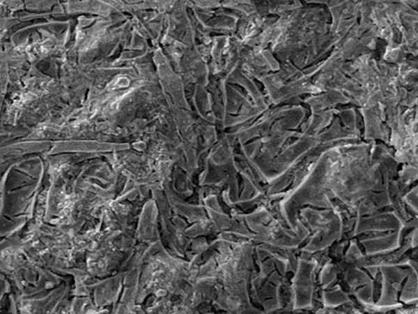 Microscopic structure of MMO anode coating